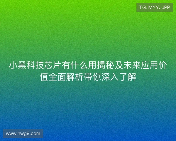 小黑科技芯片有什么用揭秘及未来应用价值全面解析带你深入了解